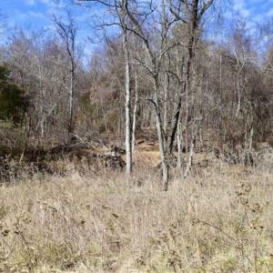 Photo of 15.96 Acres of Residential Hunting Land For Sale In Bedford County VA!