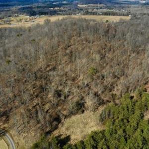 Photo of 15.96 Acres of Residential Hunting Land For Sale In Bedford County VA!