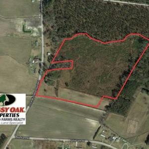 Photo of UNDER CONTRACT!!  29 Acres of Hunting and Farm Land For Sale in Craven County NC!