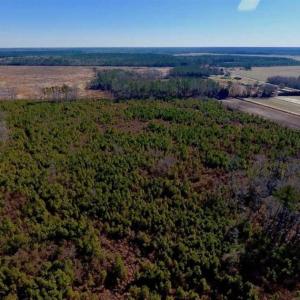 Photo of UNDER CONTRACT!!  29 Acres of Hunting and Farm Land For Sale in Craven County NC!