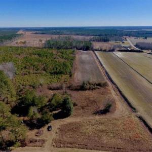 Photo of UNDER CONTRACT!!  29 Acres of Hunting and Farm Land For Sale in Craven County NC!