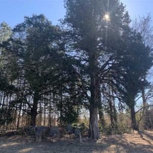 Photo of UNDER CONTRACT!!  29 Acres of Hunting and Farm Land For Sale in Craven County NC!