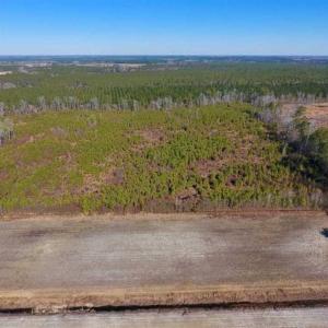 Photo of UNDER CONTRACT!!  29 Acres of Hunting and Farm Land For Sale in Craven County NC!