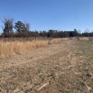 Photo of UNDER CONTRACT!!  29 Acres of Hunting and Farm Land For Sale in Craven County NC!