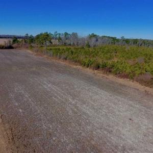 Photo of UNDER CONTRACT!!  29 Acres of Hunting and Farm Land For Sale in Craven County NC!