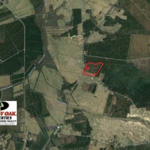Photo of UNDER CONTRACT!!  29 Acres of Hunting and Farm Land For Sale in Craven County NC!