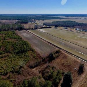 Photo of UNDER CONTRACT!!  29 Acres of Hunting and Farm Land For Sale in Craven County NC!