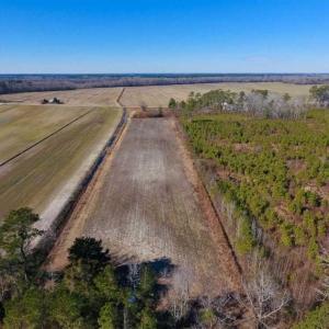 Photo of UNDER CONTRACT!!  29 Acres of Hunting and Farm Land For Sale in Craven County NC!