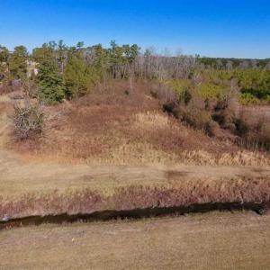 Photo of UNDER CONTRACT!!  29 Acres of Hunting and Farm Land For Sale in Craven County NC!