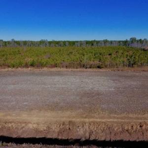 Photo of UNDER CONTRACT!!  29 Acres of Hunting and Farm Land For Sale in Craven County NC!