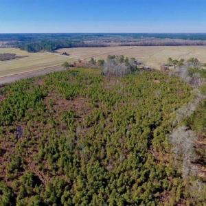 Photo of UNDER CONTRACT!!  29 Acres of Hunting and Farm Land For Sale in Craven County NC!