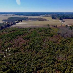Photo of UNDER CONTRACT!!  29 Acres of Hunting and Farm Land For Sale in Craven County NC!