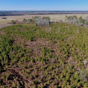 Photo of UNDER CONTRACT!!  29 Acres of Hunting and Farm Land For Sale in Craven County NC!