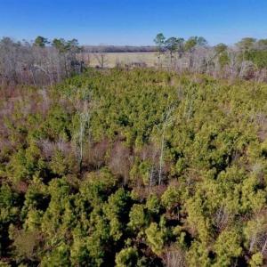 Photo of UNDER CONTRACT!!  29 Acres of Hunting and Farm Land For Sale in Craven County NC!