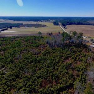 Photo of UNDER CONTRACT!!  29 Acres of Hunting and Farm Land For Sale in Craven County NC!