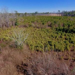 Photo of UNDER CONTRACT!!  29 Acres of Hunting and Farm Land For Sale in Craven County NC!