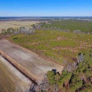 Photo of UNDER CONTRACT!!  29 Acres of Hunting and Farm Land For Sale in Craven County NC!