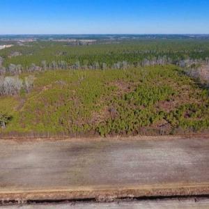 Photo of UNDER CONTRACT!!  29 Acres of Hunting and Farm Land For Sale in Craven County NC!