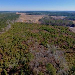 Photo of UNDER CONTRACT!!  29 Acres of Hunting and Farm Land For Sale in Craven County NC!
