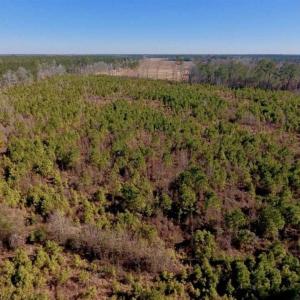 Photo of UNDER CONTRACT!!  29 Acres of Hunting and Farm Land For Sale in Craven County NC!
