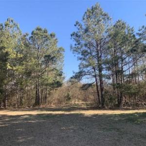 Photo of UNDER CONTRACT!!  29 Acres of Hunting and Farm Land For Sale in Craven County NC!