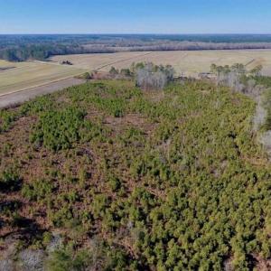 Photo of UNDER CONTRACT!!  29 Acres of Hunting and Farm Land For Sale in Craven County NC!