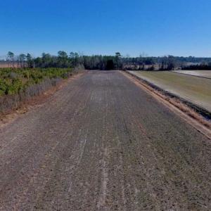 Photo of UNDER CONTRACT!!  29 Acres of Hunting and Farm Land For Sale in Craven County NC!