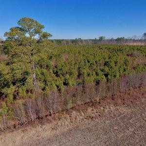Photo of UNDER CONTRACT!!  29 Acres of Hunting and Farm Land For Sale in Craven County NC!