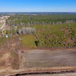 Photo of UNDER CONTRACT!!  29 Acres of Hunting and Farm Land For Sale in Craven County NC!