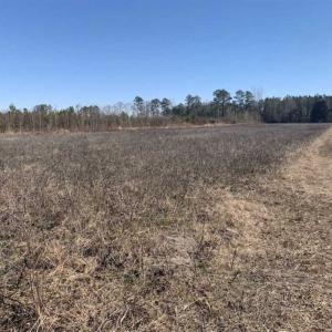 Photo of UNDER CONTRACT!!  29 Acres of Hunting and Farm Land For Sale in Craven County NC!