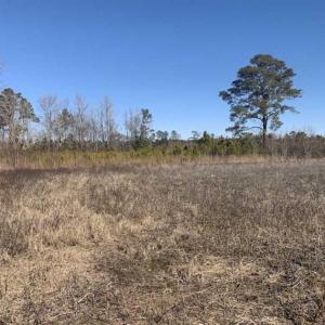 Photo of UNDER CONTRACT!!  29 Acres of Hunting and Farm Land For Sale in Craven County NC!