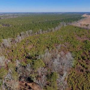 Photo of UNDER CONTRACT!!  29 Acres of Hunting and Farm Land For Sale in Craven County NC!