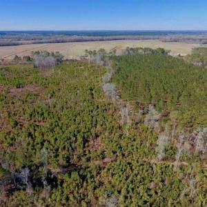 Photo of UNDER CONTRACT!!  29 Acres of Hunting and Farm Land For Sale in Craven County NC!