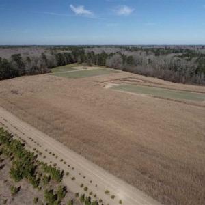 Photo of 110 Acres of Farm and Timber Land For Sale in Columbus County NC!