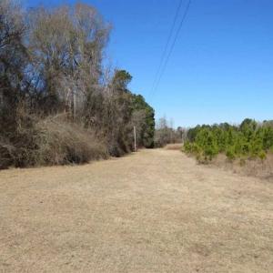 Photo of 110 Acres of Farm and Timber Land For Sale in Columbus County NC!