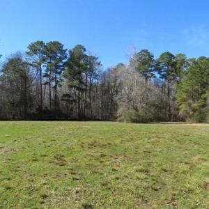 Photo of 110 Acres of Farm and Timber Land For Sale in Columbus County NC!
