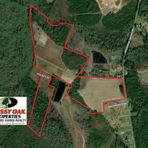 Photo of 110 Acres of Farm and Timber Land For Sale in Columbus County NC!