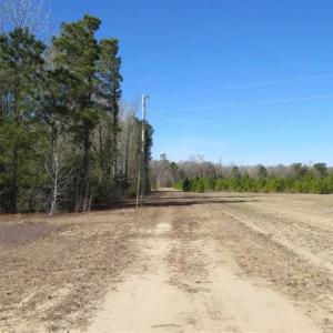 Photo of 110 Acres of Farm and Timber Land For Sale in Columbus County NC!