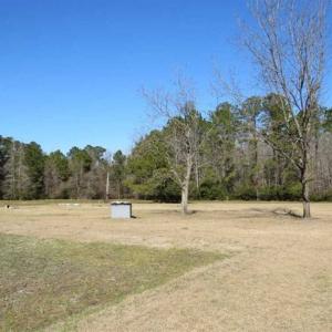 Photo of 110 Acres of Farm and Timber Land For Sale in Columbus County NC!