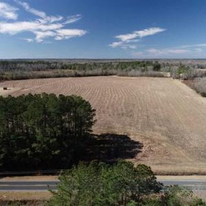 Photo of 110 Acres of Farm and Timber Land For Sale in Columbus County NC!