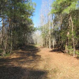 Photo of 110 Acres of Farm and Timber Land For Sale in Columbus County NC!