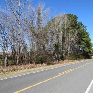 Photo of 110 Acres of Farm and Timber Land For Sale in Columbus County NC!