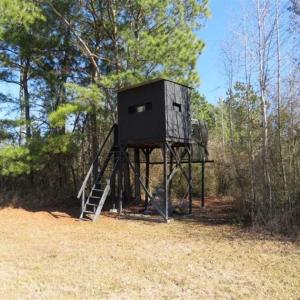 Photo of 110 Acres of Farm and Timber Land For Sale in Columbus County NC!