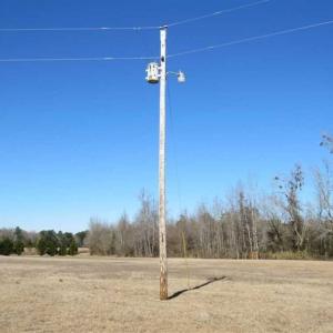 Photo of 110 Acres of Farm and Timber Land For Sale in Columbus County NC!