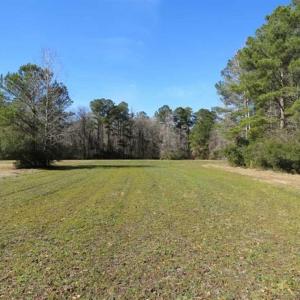Photo of 110 Acres of Farm and Timber Land For Sale in Columbus County NC!