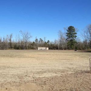 Photo of 110 Acres of Farm and Timber Land For Sale in Columbus County NC!