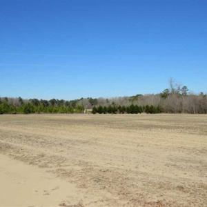 Photo of 110 Acres of Farm and Timber Land For Sale in Columbus County NC!