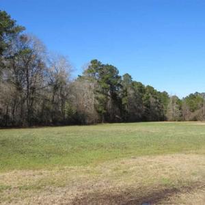 Photo of 110 Acres of Farm and Timber Land For Sale in Columbus County NC!