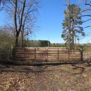 Photo of 110 Acres of Farm and Timber Land For Sale in Columbus County NC!