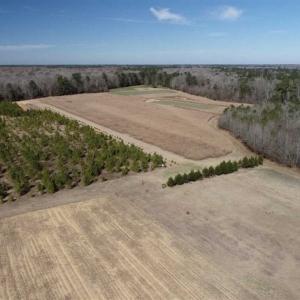 Photo of 110 Acres of Farm and Timber Land For Sale in Columbus County NC!